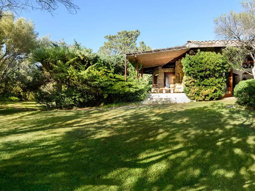 Immagine 6 di Villa in affitto  a Arzachena