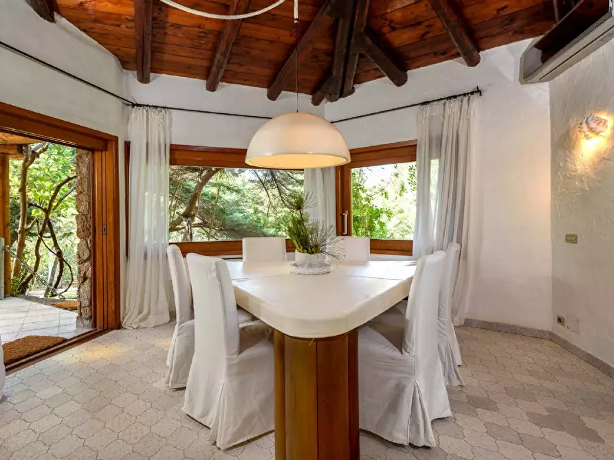 Immagine 7 di Villa in affitto  a Arzachena