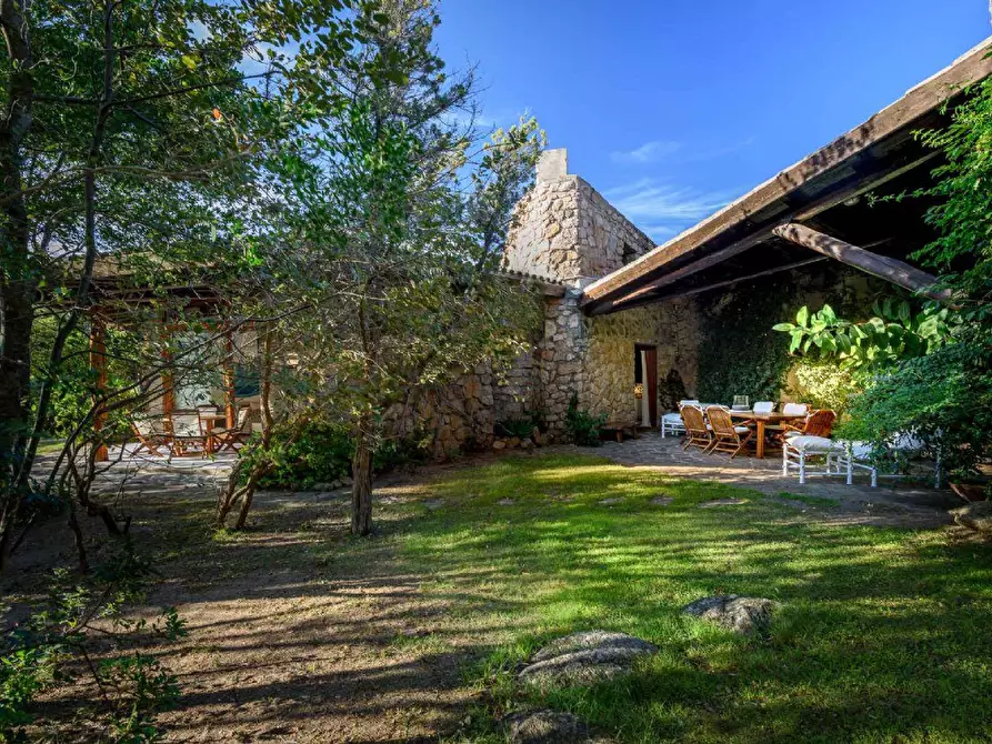 Immagine 9 di Villa in affitto  a Arzachena