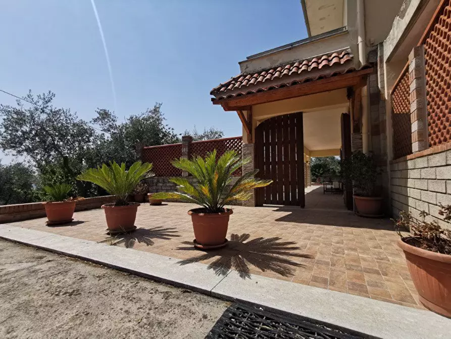 Immagine 3 di Palazzo in vendita  1308 a Santi Cosma E Damiano