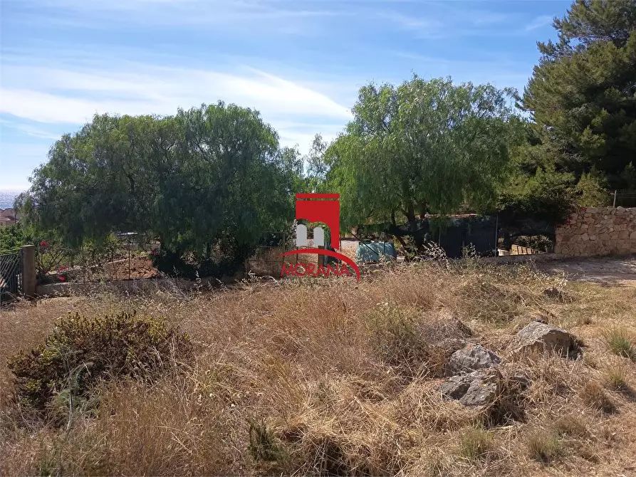 Immagine 8 di Terreno in vendita  a Custonaci