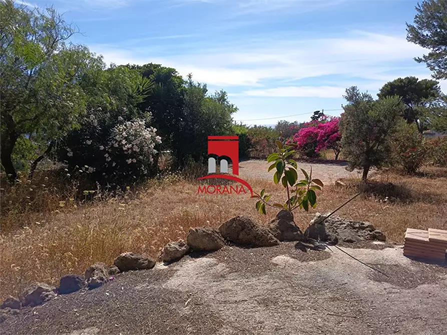 Immagine 5 di Terreno in vendita  a Custonaci