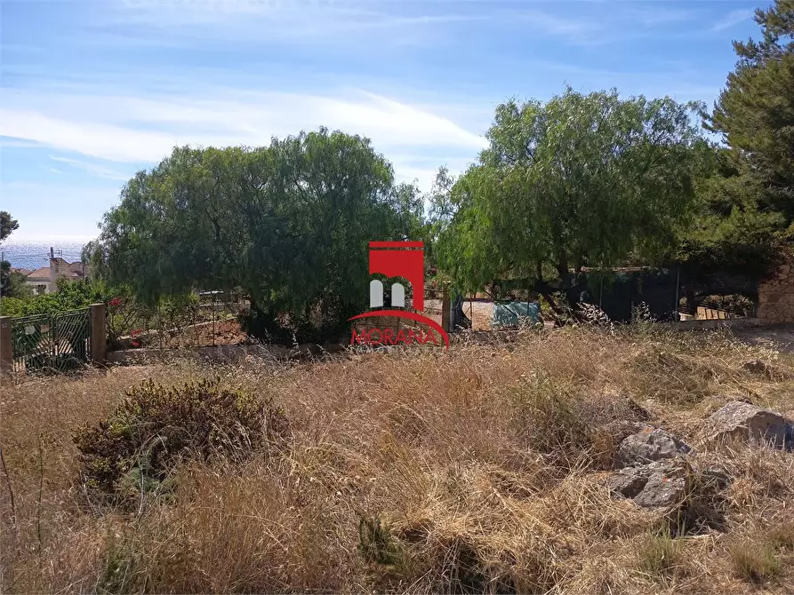 Immagine 9 di Terreno in vendita  a Custonaci
