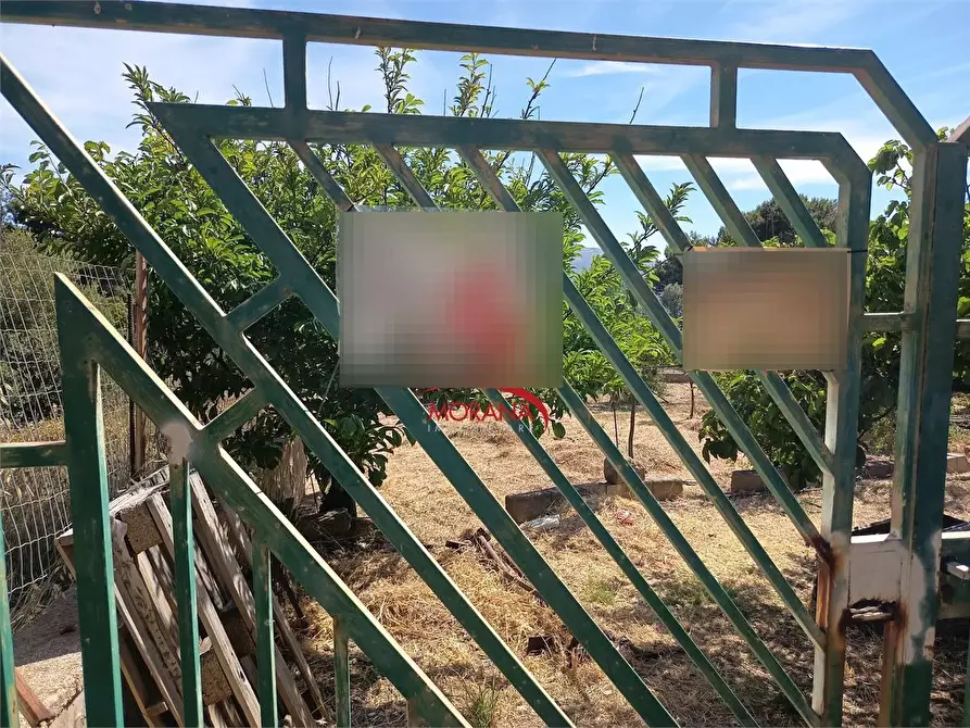 Immagine 2 di Terreno in vendita  a Custonaci