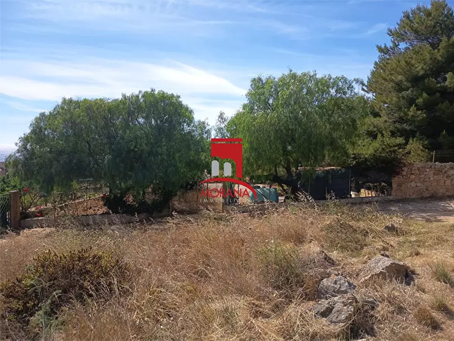 Immagine 6 di Terreno in vendita  a Custonaci