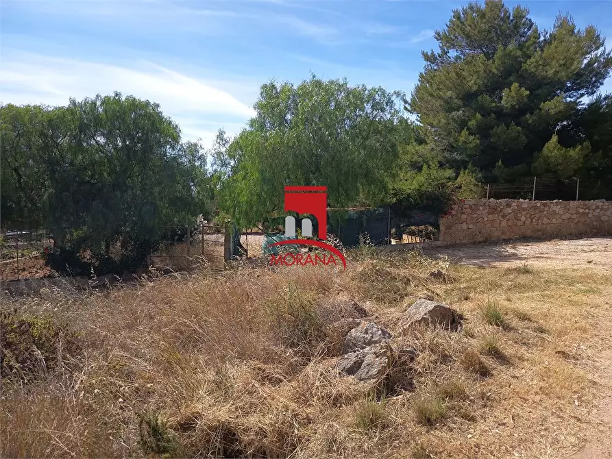 Immagine 10 di Terreno in vendita  a Custonaci