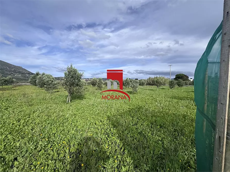 Immagine 8 di Terreno in vendita  snc a Erice