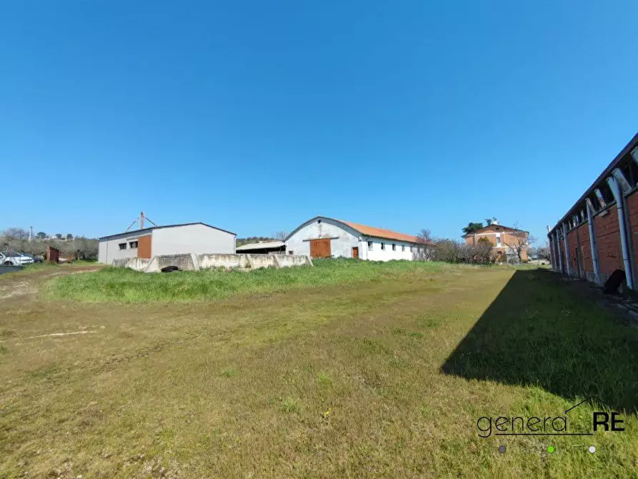 Immagine 1 di Capannone industriale in vendita  a Città Sant'angelo