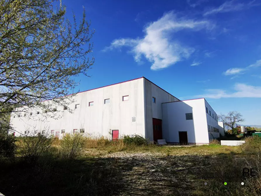 Immagine 1 di Capannone industriale in vendita  a Colonnella