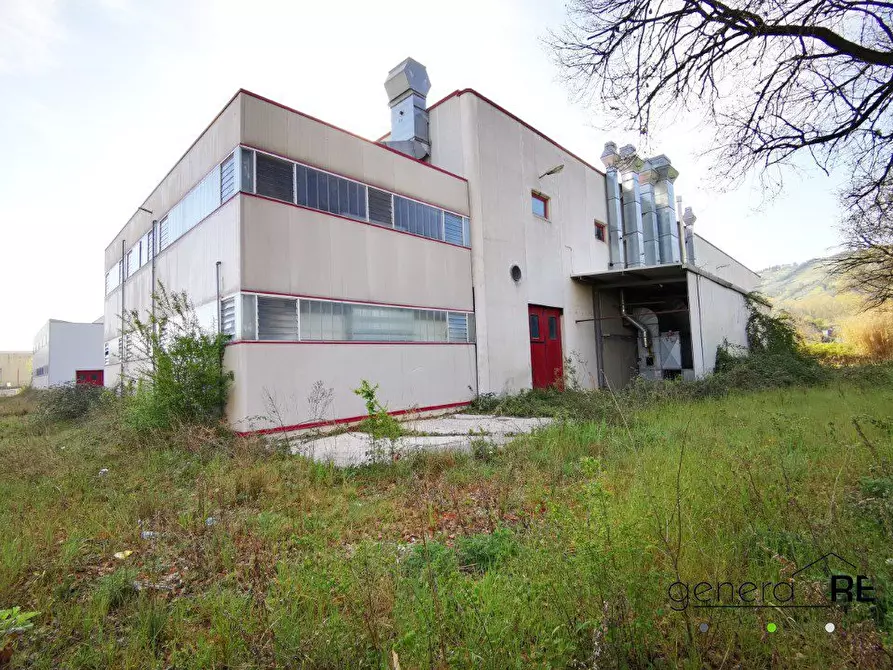 Immagine 10 di Capannone industriale in vendita  a Colonnella