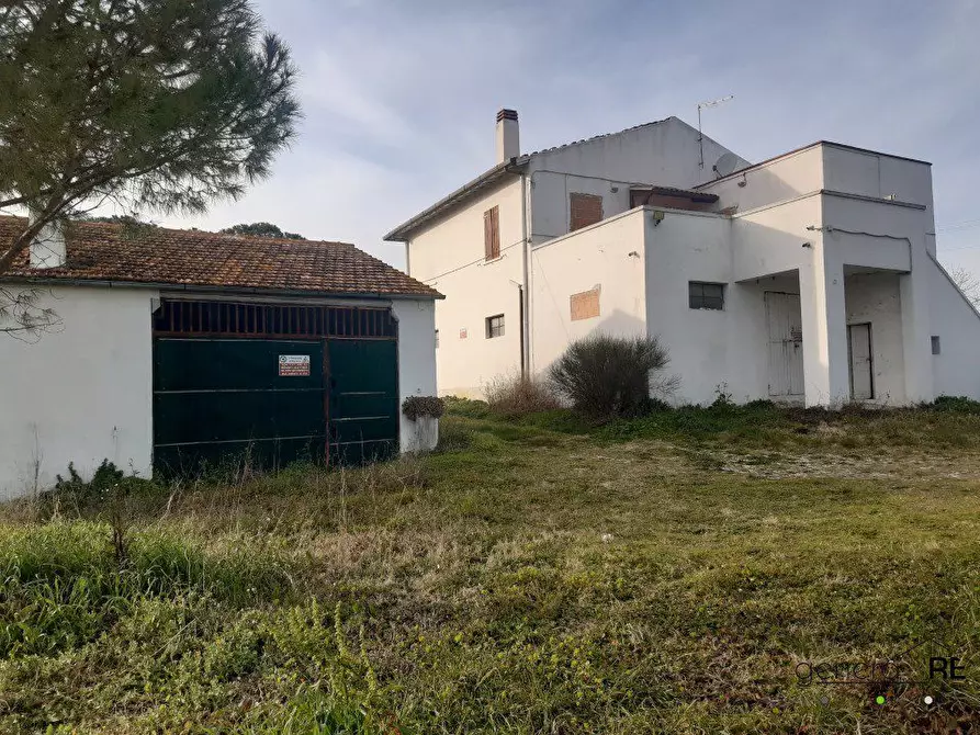 Immagine 4 di Rustico / casale in vendita  a Spoltore