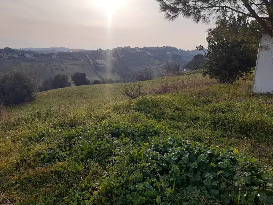 Immagine 8 di Rustico / casale in vendita  a Spoltore