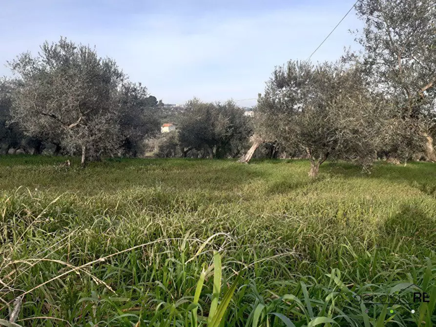 Immagine 9 di Rustico / casale in vendita  a Spoltore