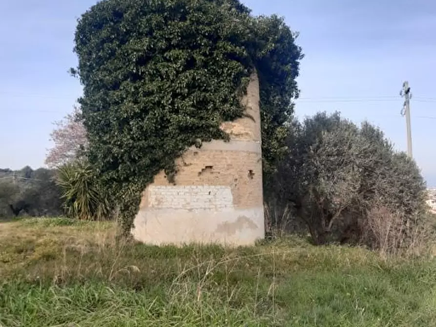 Immagine 6 di Rustico / casale in vendita  a Spoltore