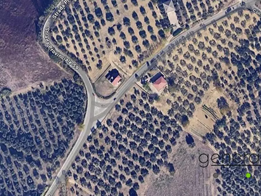 Immagine 2 di Terreno edificabile in vendita  a Moscufo