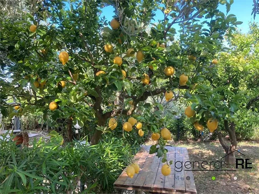Immagine 6 di Villa in vendita  a San Vito Chietino