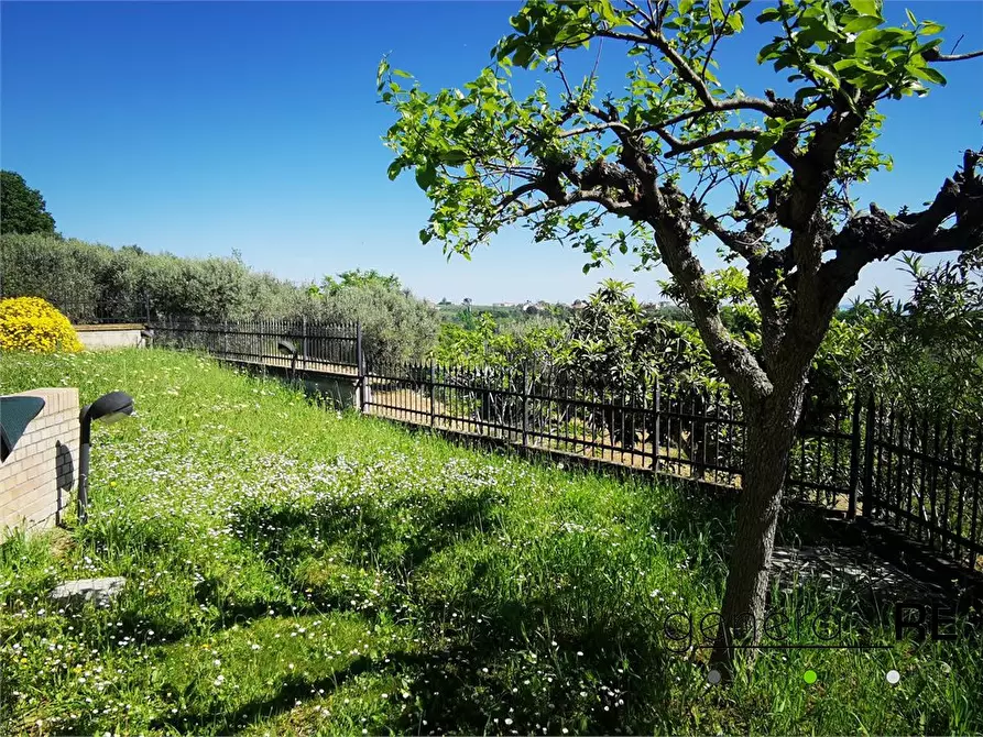 Immagine 5 di Villa in vendita  a Torrevecchia Teatina