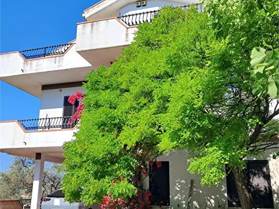 Immagine 2 di Villa in vendita  a Montesilvano