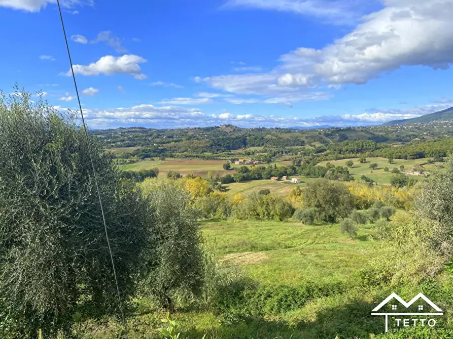 Immagine 10 di Terreno in vendita  a Selci