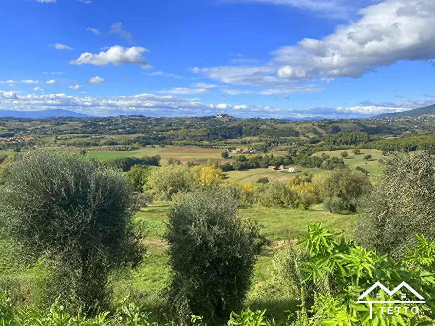 Immagine 9 di Terreno in vendita  a Selci