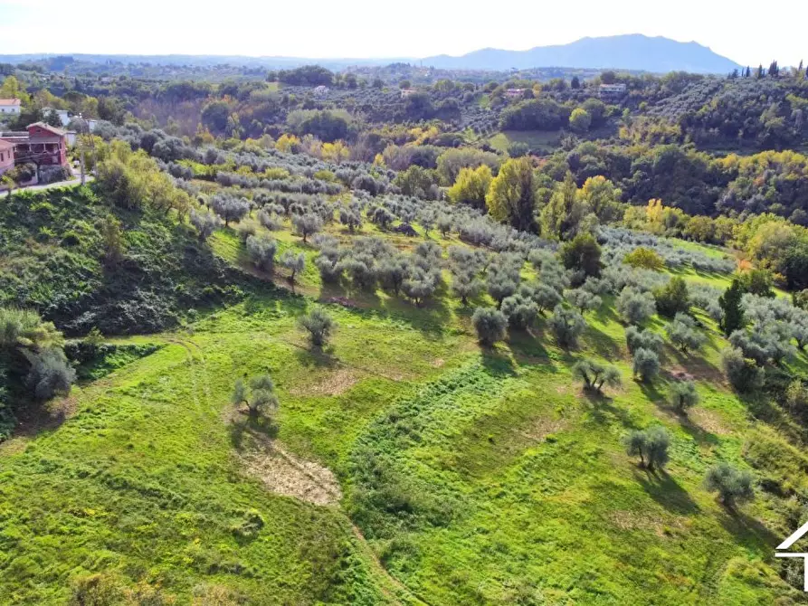 Immagine 2 di Terreno in vendita  a Selci