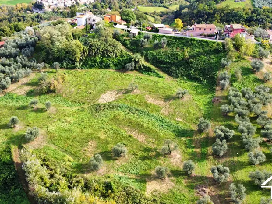 Immagine 7 di Terreno in vendita  a Selci