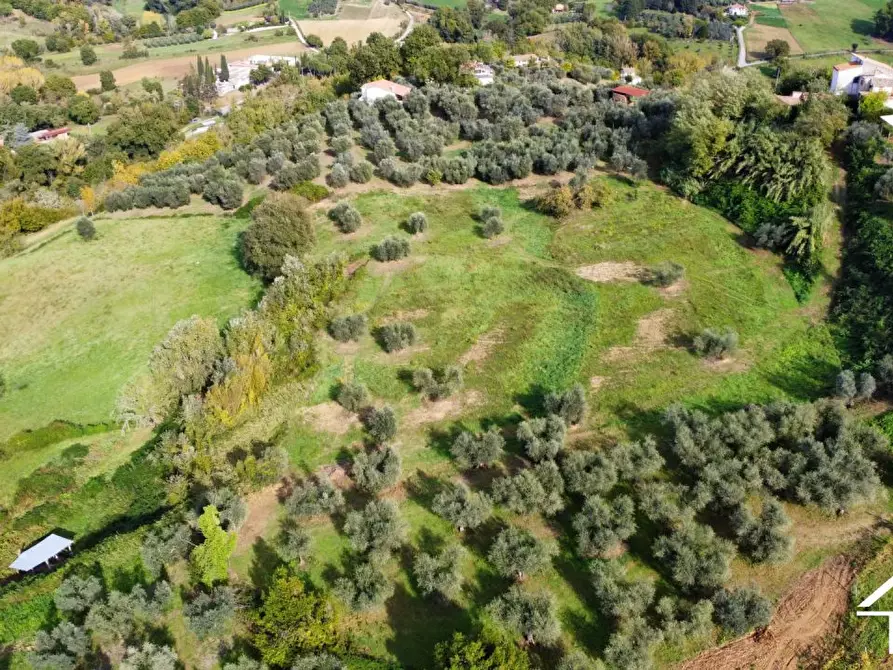 Immagine 5 di Terreno in vendita  a Selci