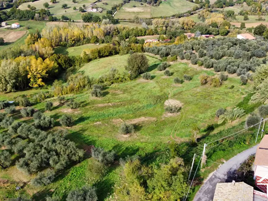 Immagine 4 di Terreno in vendita  a Selci