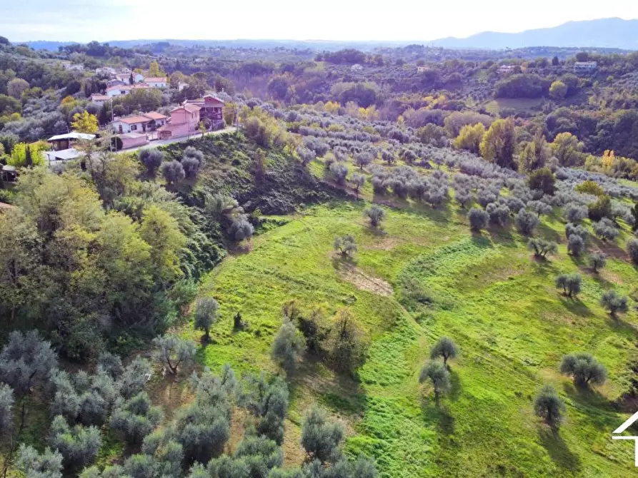 Immagine 1 di Terreno in vendita  a Selci