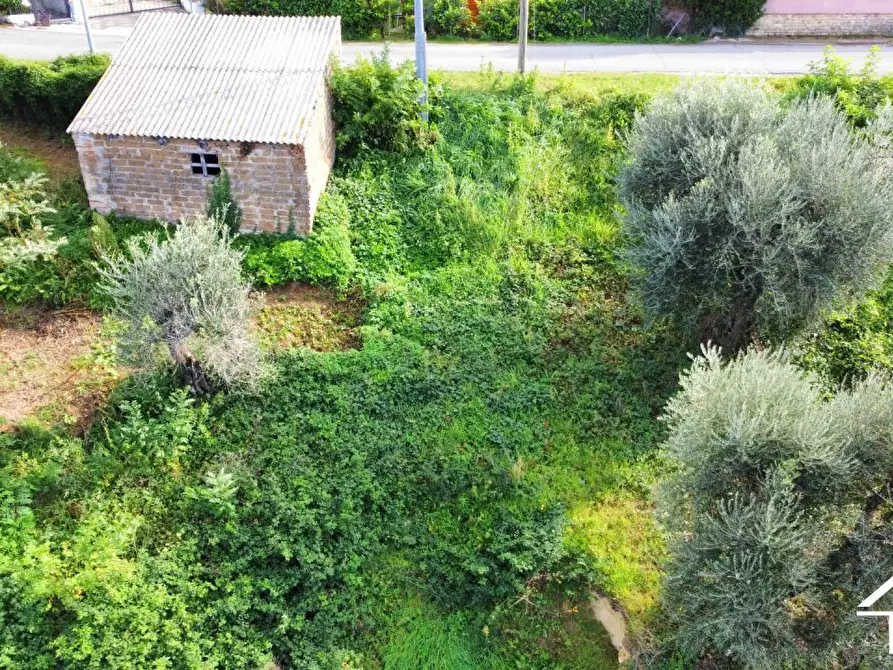 Immagine 8 di Terreno in vendita  a Selci