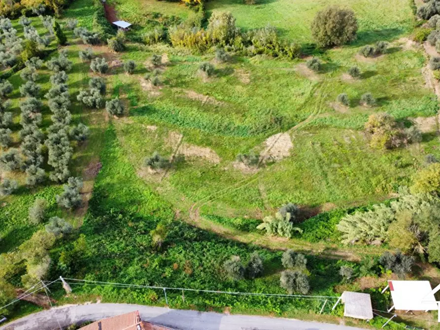 Immagine 6 di Terreno in vendita  a Selci