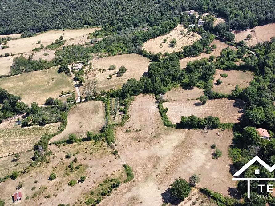 Immagine 2 di Terreno in vendita  a Montasola