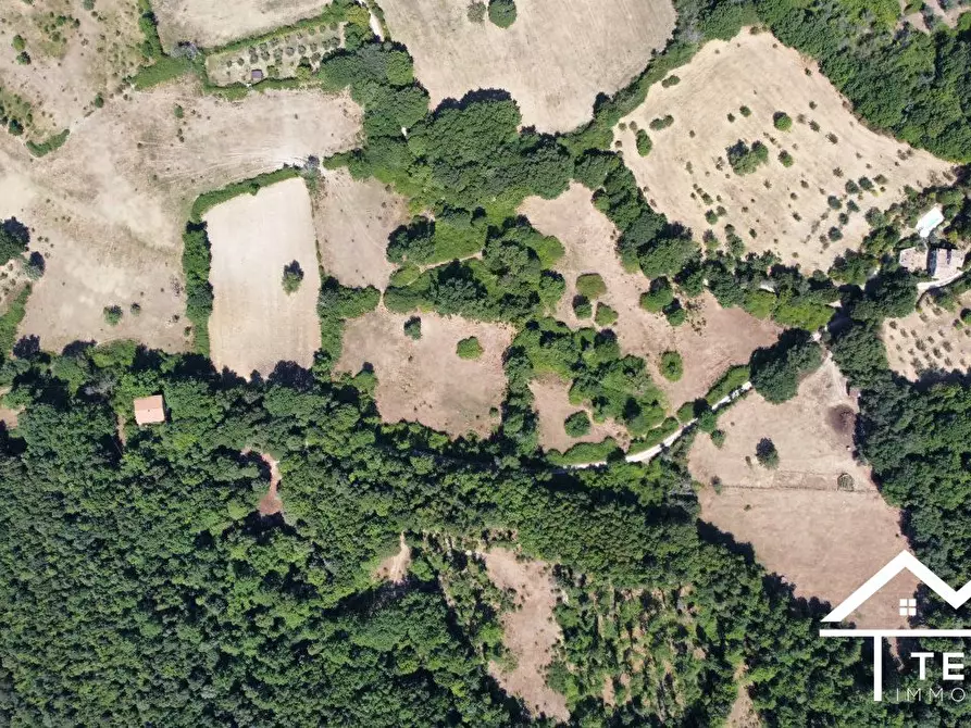 Immagine 5 di Terreno in vendita  a Montasola
