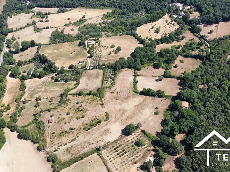 Immagine 10 di Terreno in vendita  a Montasola