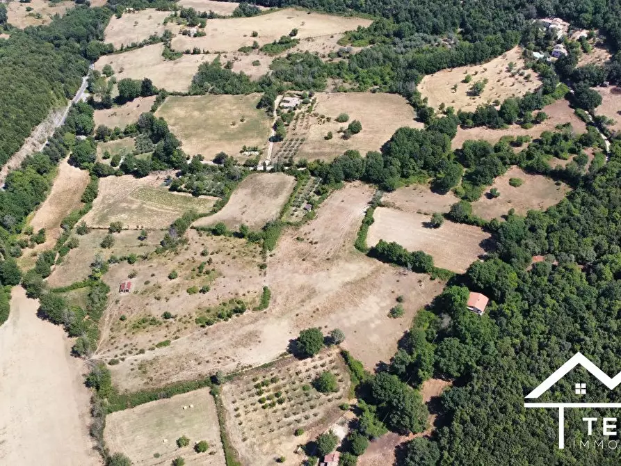 Immagine 1 di Terreno in vendita  a Montasola