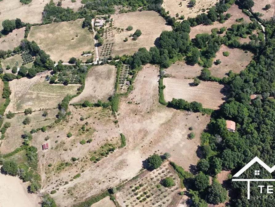 Immagine 3 di Terreno in vendita  a Montasola