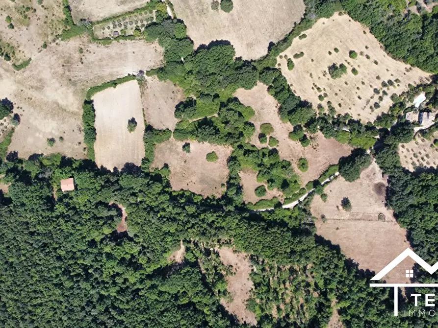 Immagine 8 di Terreno in vendita  a Montasola