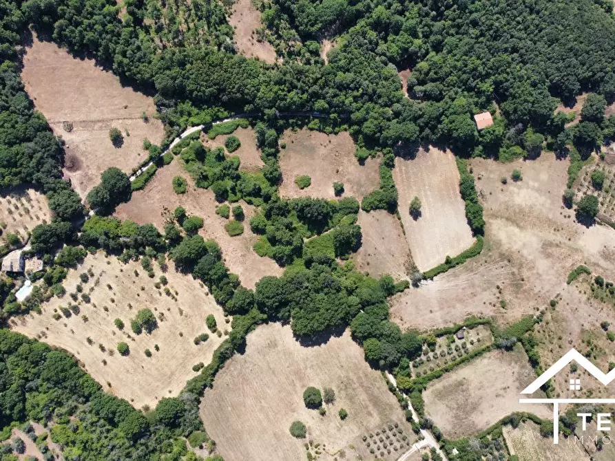 Immagine 7 di Terreno in vendita  a Montasola