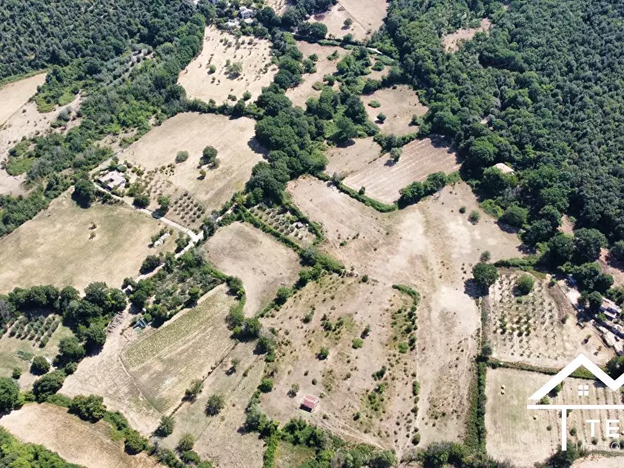 Immagine 6 di Terreno in vendita  a Montasola