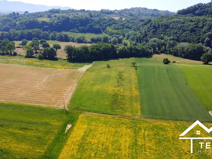 Immagine 4 di Terreno in vendita  a Torri In Sabina