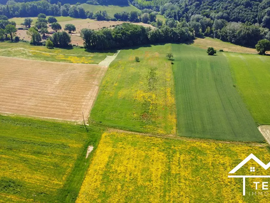 Immagine 10 di Terreno in vendita  a Torri In Sabina