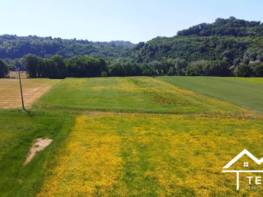 Immagine 6 di Terreno in vendita  a Torri In Sabina