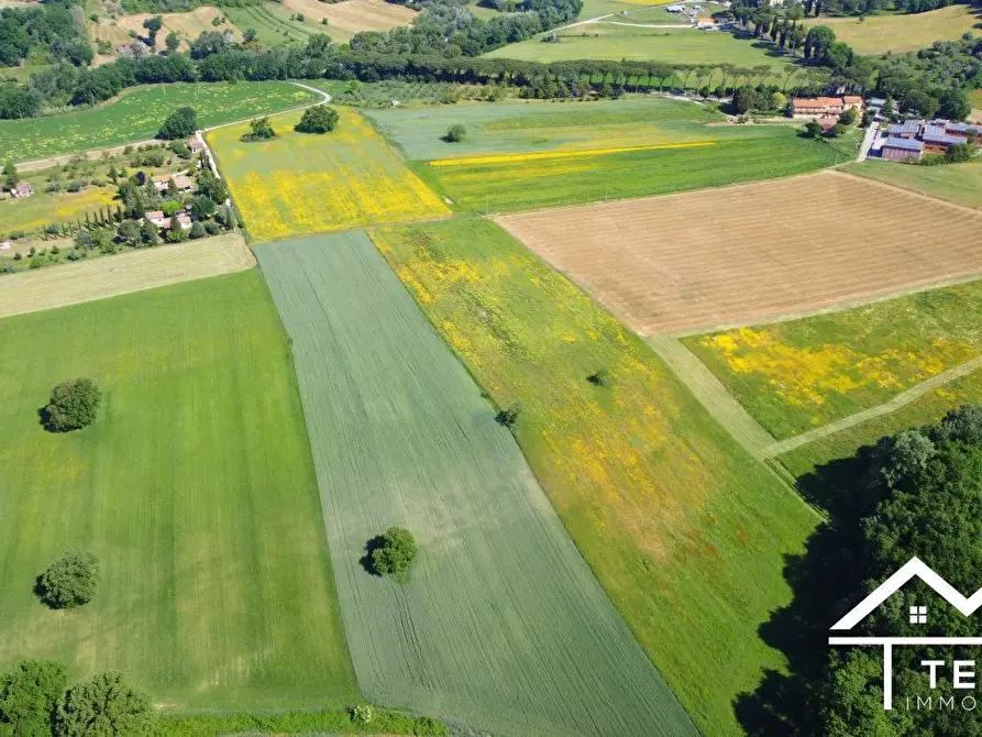 Immagine 2 di Terreno in vendita  a Torri In Sabina