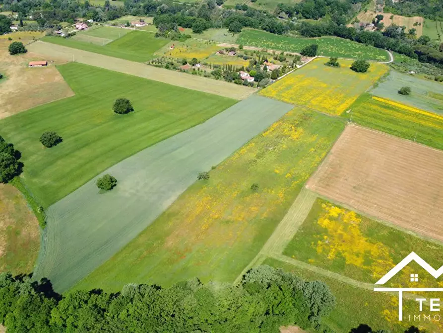 Immagine 8 di Terreno in vendita  a Torri In Sabina