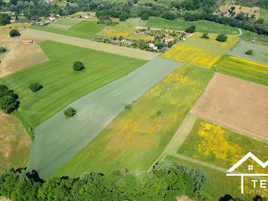 Immagine 9 di Terreno in vendita  a Torri In Sabina