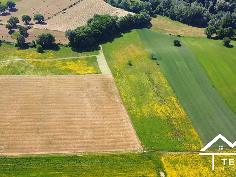 Immagine 3 di Terreno in vendita  a Torri In Sabina