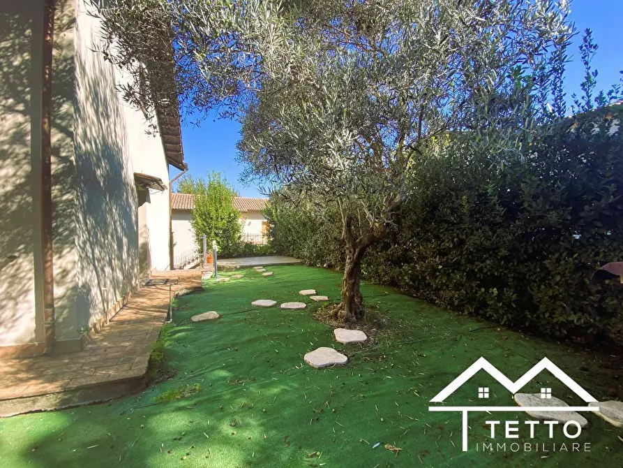 Immagine 6 di Casa semindipendente in vendita  38 a Selci
