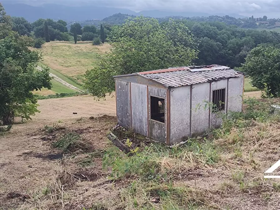 Immagine 7 di Rustico / casale in vendita  SNC a Tarano
