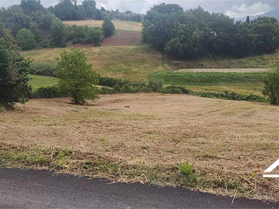 Immagine 5 di Rustico / casale in vendita  SNC a Tarano