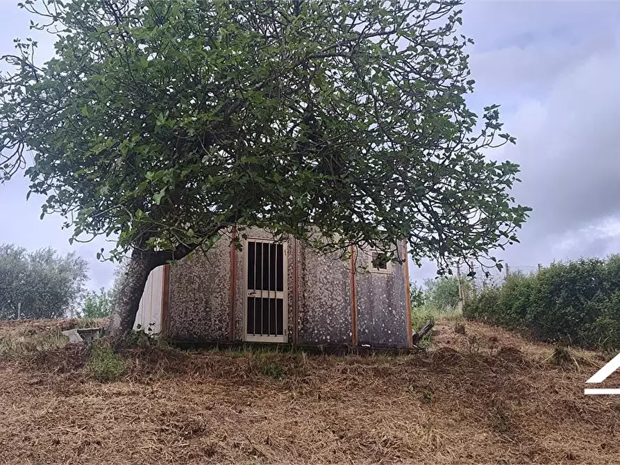 Immagine 2 di Rustico / casale in vendita  SNC a Tarano